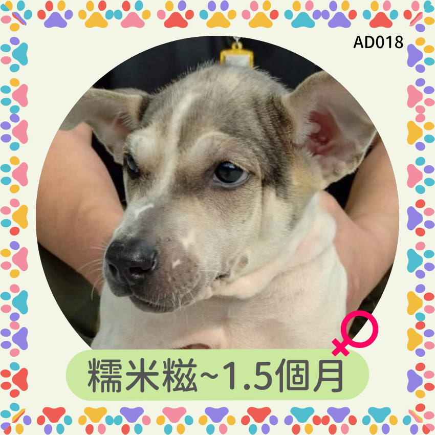 糯米糍